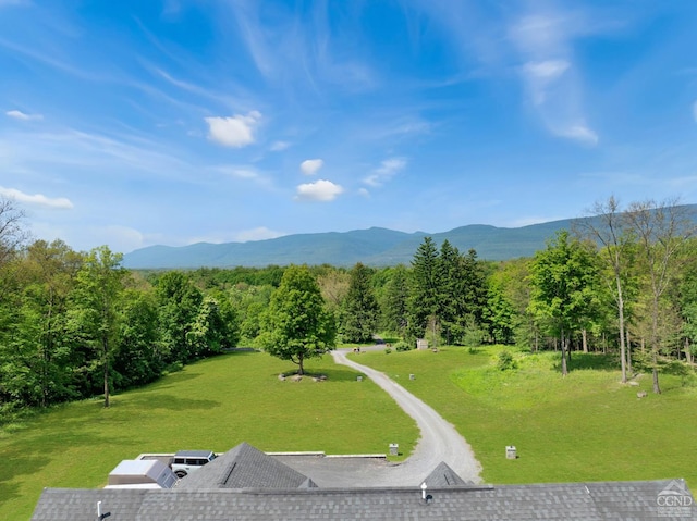 174 Grove School Rd, Catskill, NY 12414 - photo 38