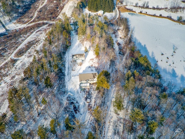 176 High Rock Rd, West Coxsackie, NY 12192 - aerial view of property's location