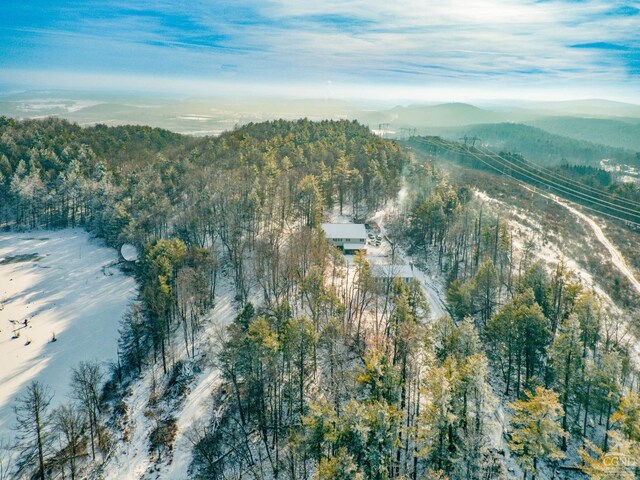 176 High Rock Rd, West Coxsackie, NY 12192 - view of property location with a mountain backdrop and a forest