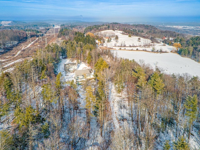 176 High Rock Rd, West Coxsackie, NY 12192 - aerial overview of property's location with a heavily wooded area