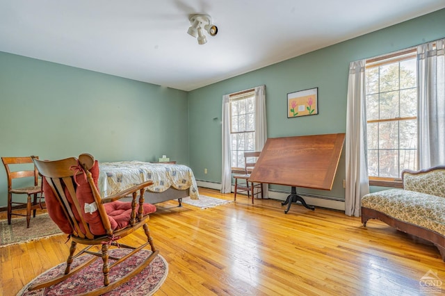 176 High Rock Rd, West Coxsackie, NY 12192 - bedroom featuring hardwood / wood-style floors