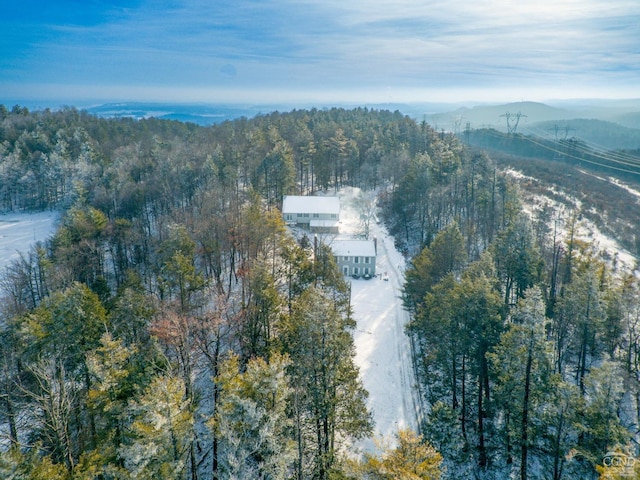 176 High Rock Rd, West Coxsackie, NY 12192 - view of property location featuring mountains and a heavily wooded area