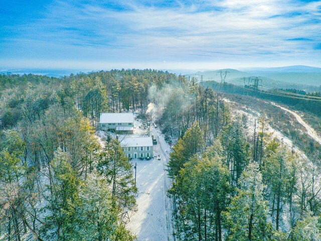 176 High Rock Rd, West Coxsackie, NY 12192 - aerial overview of property's location with a forest