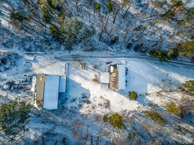 176 High Rock Rd, West Coxsackie, NY 12192 - aerial view of property and surrounding area
