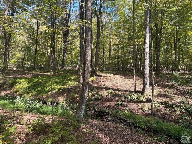 0 Westfall, Ancram, NY 12502