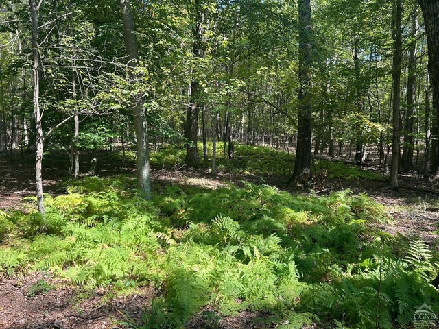 0 Westfall, Ancram, NY 12502