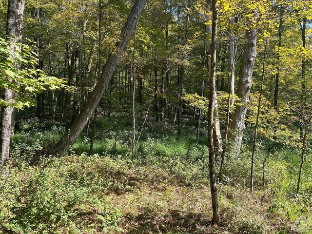 0 Westfall, Ancram, NY 12502