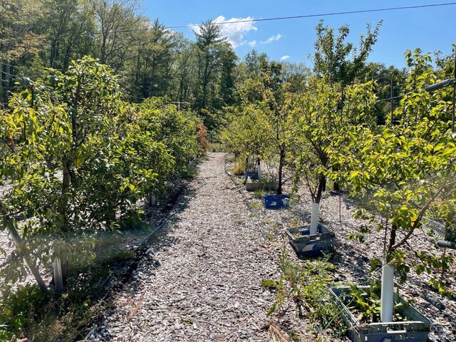 138 Vienna Woods Rd, Cairo, NY 12470 - photo 13