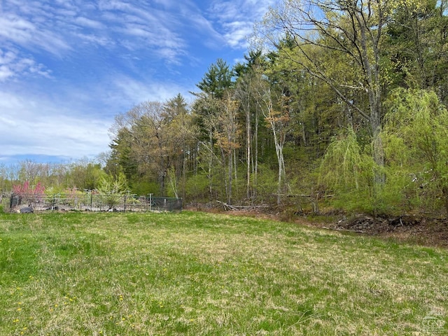 138 Vienna Woods Rd, Cairo, NY 12470 - photo 11