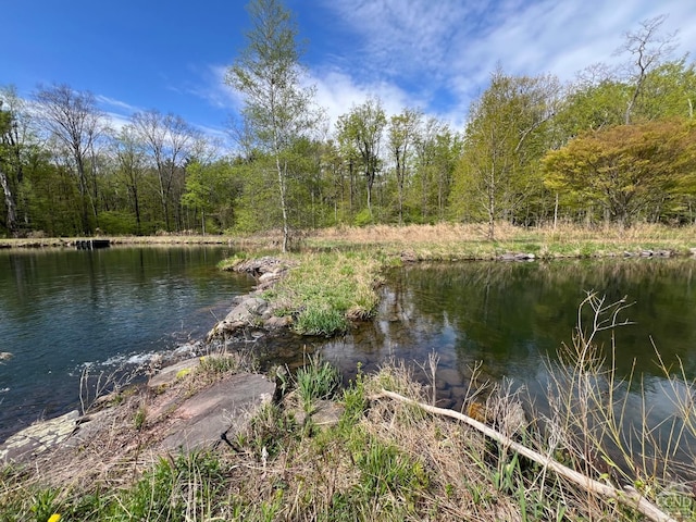 138 Vienna Woods Rd, Cairo, NY 12470 - photo 7