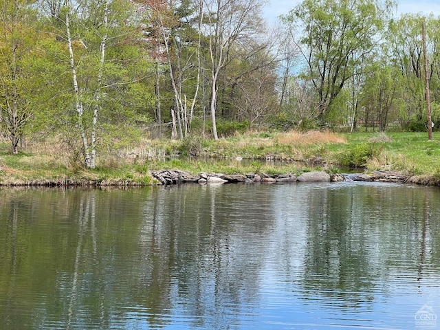 138 Vienna Woods Rd, Cairo, NY 12470 - photo 5