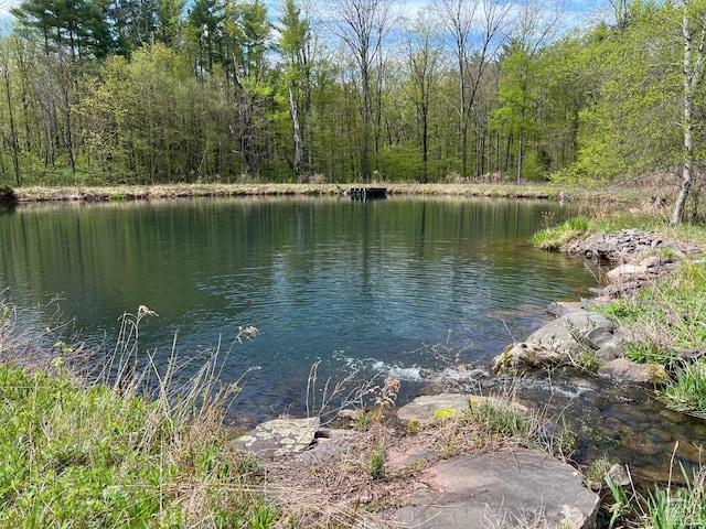 138 Vienna Woods Rd, Cairo, NY 12470 - photo 8