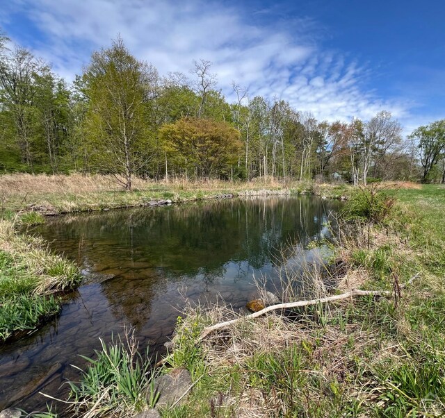 138 Vienna Woods Rd, Cairo, NY 12470 - photo 6