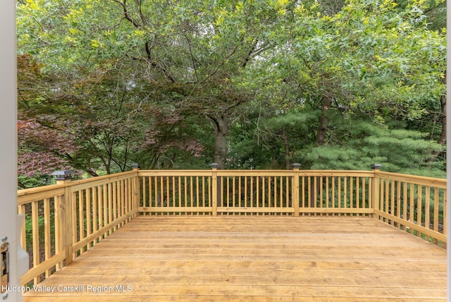 13 Frederick Dr, Lake Katrine, NY 12449 - photo 38