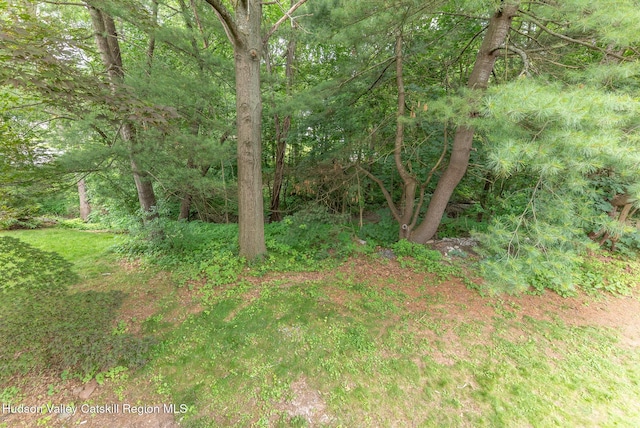 13 Frederick Dr, Lake Katrine, NY 12449 - photo 43