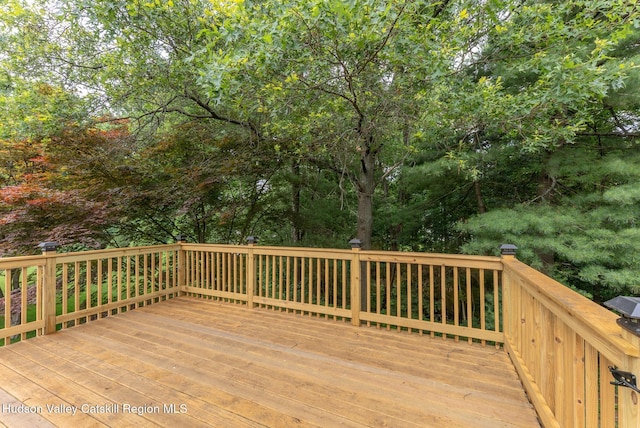 13 Frederick Dr, Lake Katrine, NY 12449 - photo 39