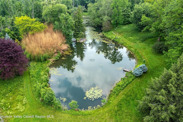 202 Buckwheat Bridge Rd, Germantown, NY 12526 - drone / aerial view of a large body of water