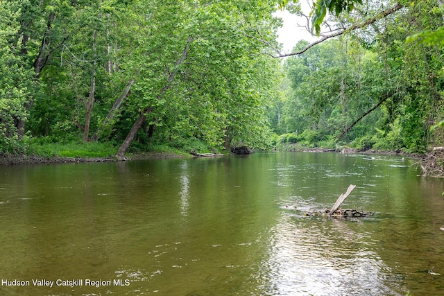 202 Buckwheat Bridge Rd, Germantown, NY 12526 - water view featuring a forest