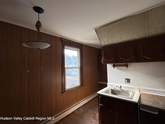 kitchen featuring dishwasher, dark brown cabinetry, dark wood-type flooring, and sink