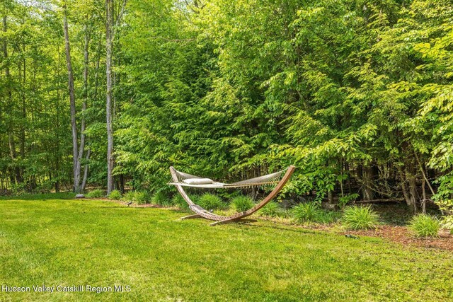 80 Carl Rd, Jewett, NY 12444 - photo 46