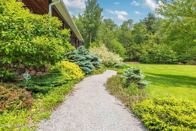 80 Carl Rd, Jewett, NY 12444 - photo 2