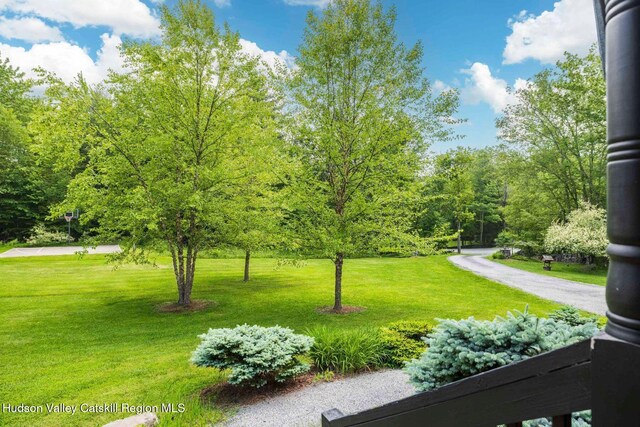 80 Carl Rd, Jewett, NY 12444 - photo 55
