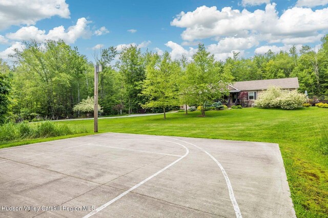 80 Carl Rd, Jewett, NY 12444 - photo 58