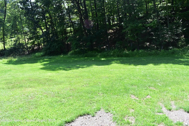 1254 Main St, Ruby, NY 12475 - photo 29