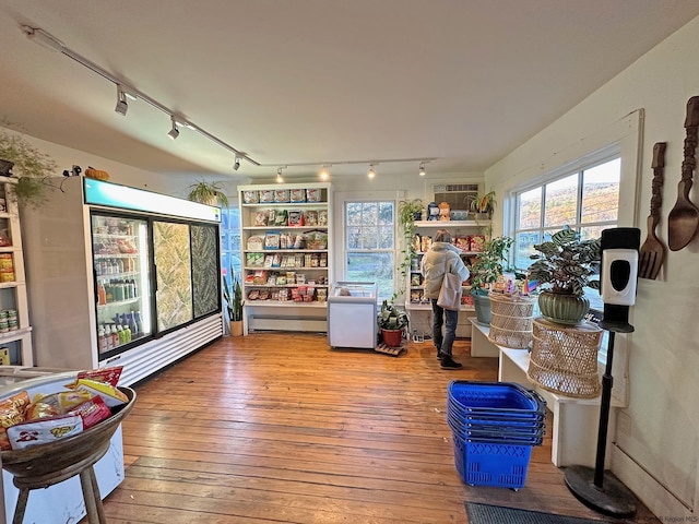 interior space with wood-type flooring