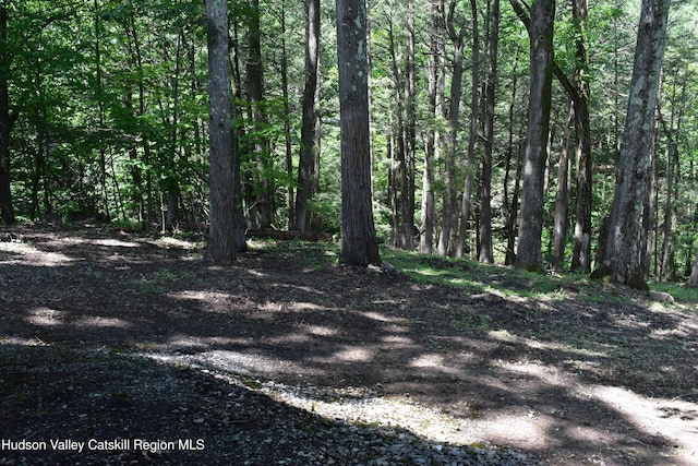 1098 Herveysunside Rd, Cornwallville, NY 12418 - photo 36