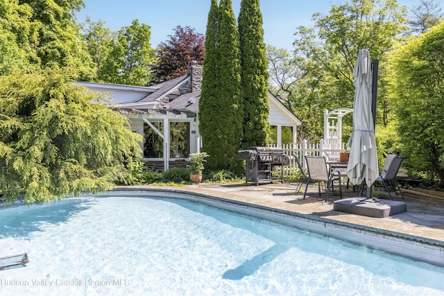 1716 Rte 212, Saugerties, NY 12477 - swimming pool featuring a grill and a patio