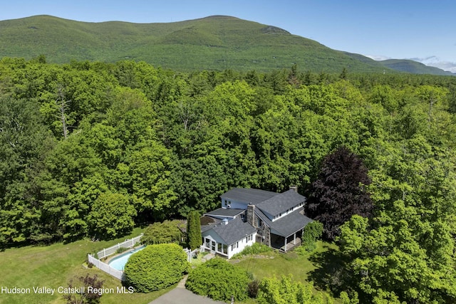 1716 Rte 212, Saugerties, NY 12477 - aerial view of property and surrounding area with a forest and a mountain backdrop