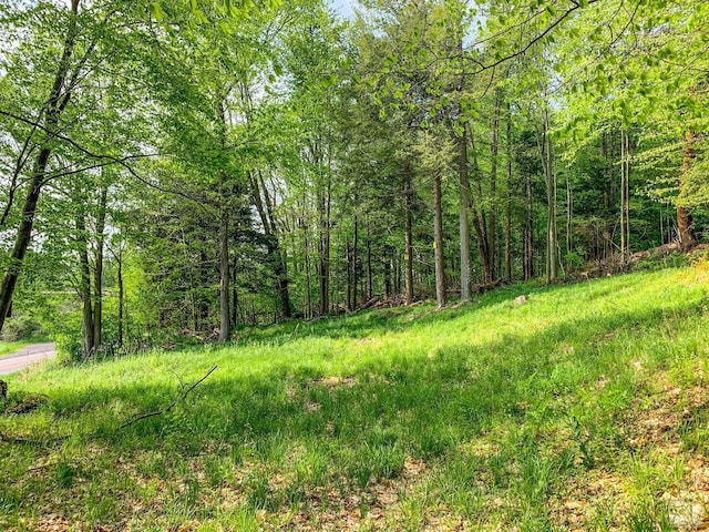 0 County Highway 44, Sidney, NY 13849 - photo 28