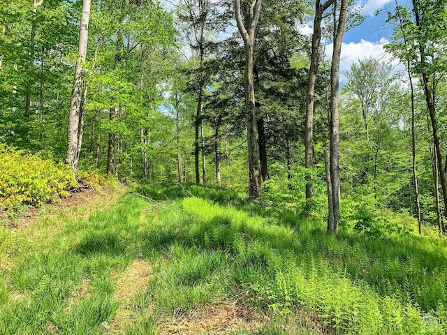 0 County Highway 44, Sidney, NY 13849 - photo 12