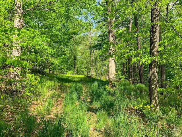 0 County Highway 44, Sidney, NY 13849 - photo 18