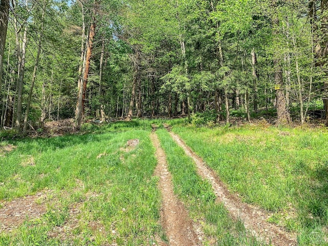 0 County Highway 44, Sidney, NY 13849 - photo 22