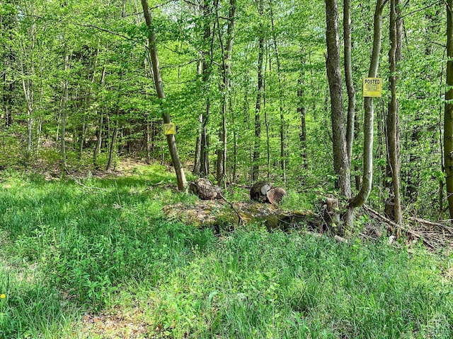 0 County Highway 44, Sidney, NY 13849 - photo 26