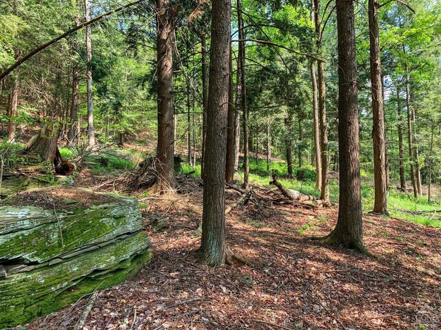 0 County Highway 44, Sidney, NY 13849 - photo 2