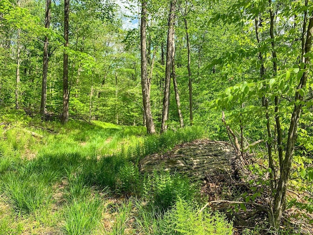 0 County Highway 44, Sidney, NY 13849 - photo 16
