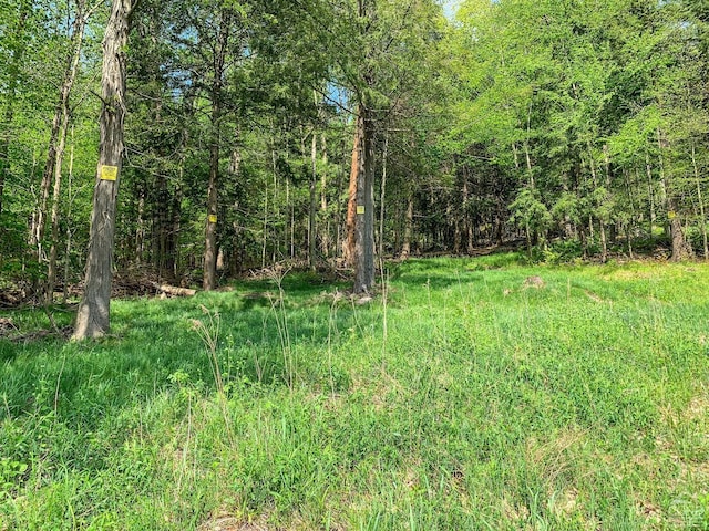 0 County Highway 44, Sidney, NY 13849 - photo 25