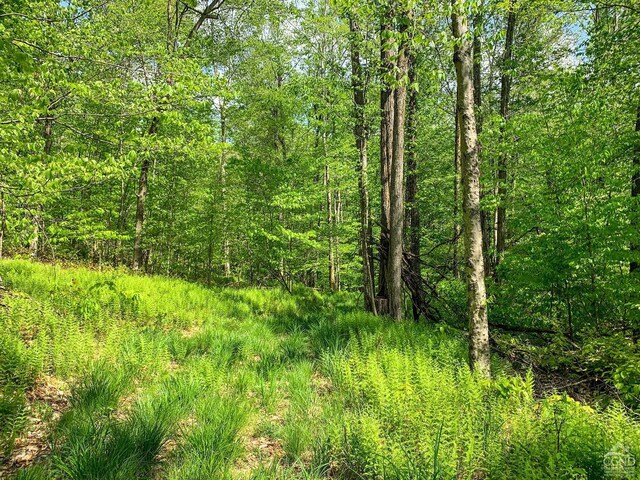 0 County Highway 44, Sidney, NY 13849 - photo 17