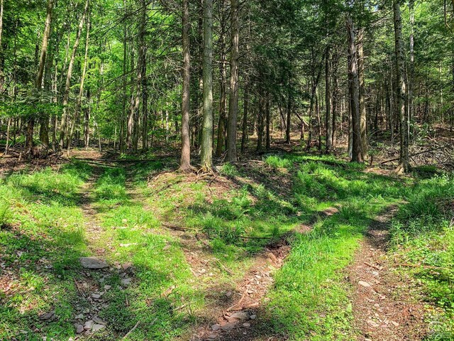 0 County Highway 44, Sidney, NY 13849 - photo 3