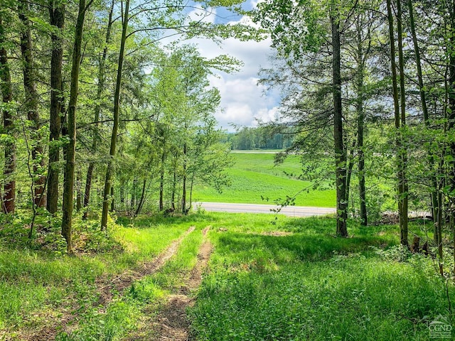 0 County Highway 44, Sidney, NY 13849 - photo 23