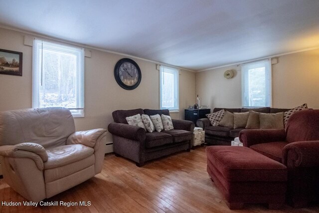 50 Tempaloni Rd, Ellenville, NY 12428 - living room with light wood-style flooring and ornamental molding