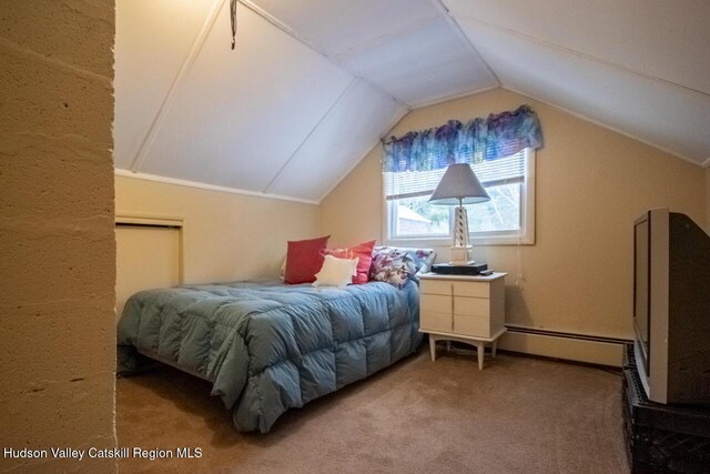 50 Tempaloni Rd, Ellenville, NY 12428 - bedroom with a baseboard radiator, vaulted ceiling, and carpet flooring
