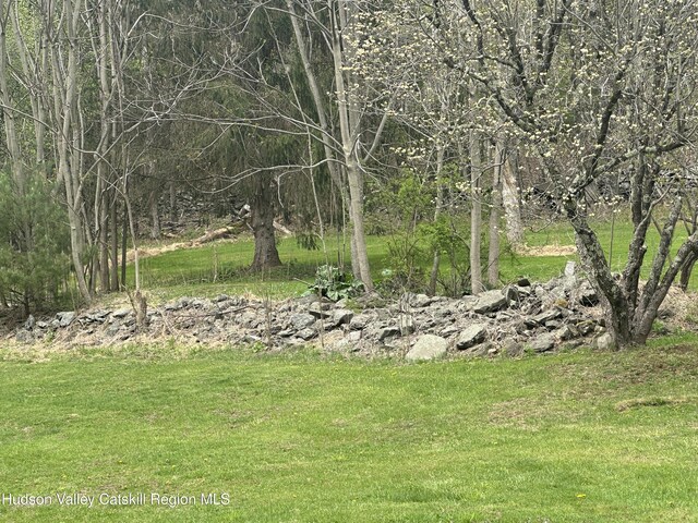 50 Tempaloni Rd, Ellenville, NY 12428 - view of green lawn