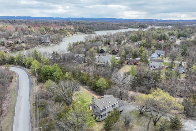 169 Haunted Cir, Coxsackie, NY 12051 - photo 34