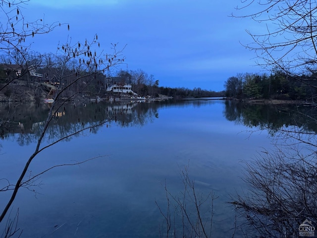 169 Haunted Cir, Coxsackie, NY 12051 - photo 44