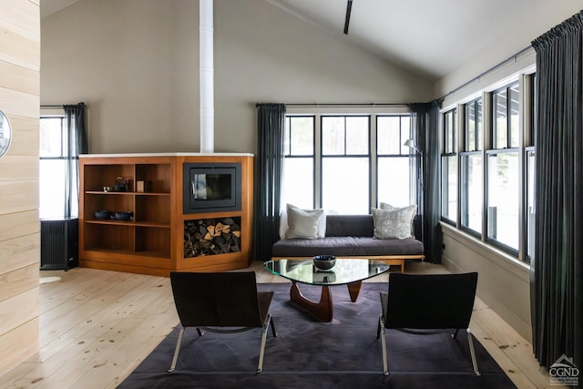890 Bald Mountain Rd, Austerlitz, NY 12017 - living area featuring lofted ceiling and light wood-type flooring