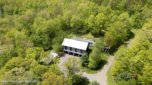 890 Bald Mountain Rd, Austerlitz, NY 12017 - aerial view of property's location with a forest